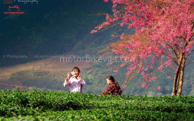 From Hanoi: Sapa 3 Days 2 Nights In the Evening - Frequently Asked Questions
