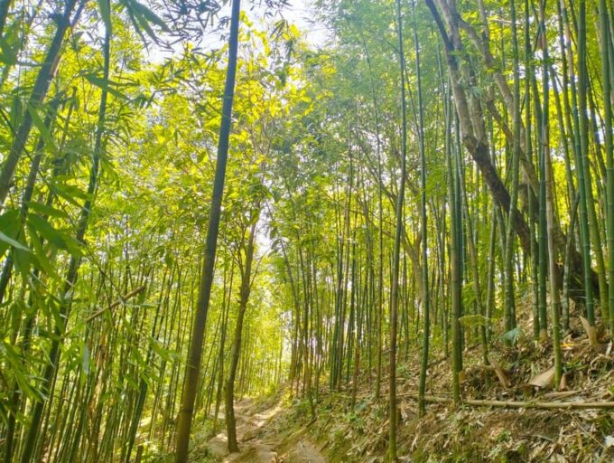 From Hanoi: Sapa 3 Days 2 Nights With Trekking Village/Guide - Frequently Asked Questions
