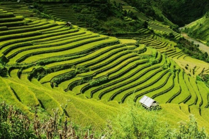 From Hanoi: Sapa 3 Days Lao Chai- Ta Van-Giang Ta Chai Tour - Frequently Asked Questions