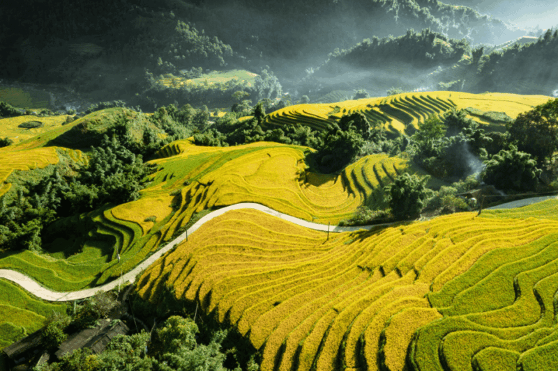 From Hanoi: Sapa 3D2N Tour- Lao Chai, Ta Van, Giang Ta Chai - Exploring Giang Ta Chai and Cat Cat Village