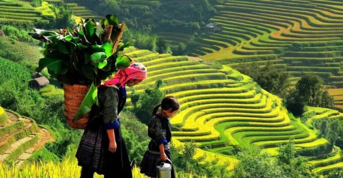 From Hanoi: Sapa 3D2N Tour- Lao Chai, Ta Van, Giang Ta Chai - Travel From Hanoi to Sapa