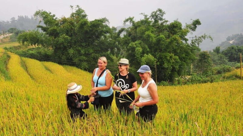 From Hanoi: SAPA LAOCHAI - TAVAN - GIANG TA CHAI 3D2N - Whats Included
