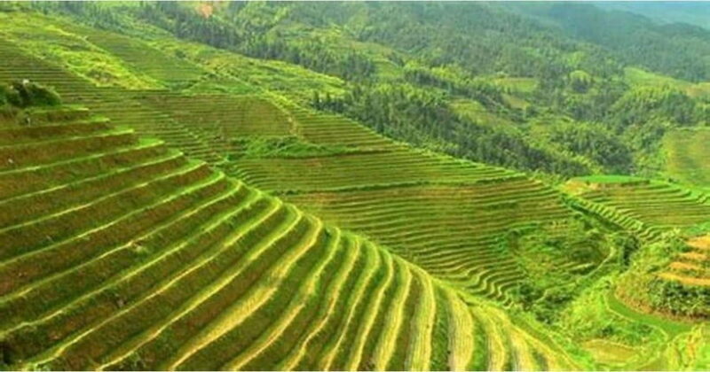 From Hanoi: SAPA LAOCHAI - TAVAN - GIANG TA CHAI 3D2N - Cancellation and Refund Policy