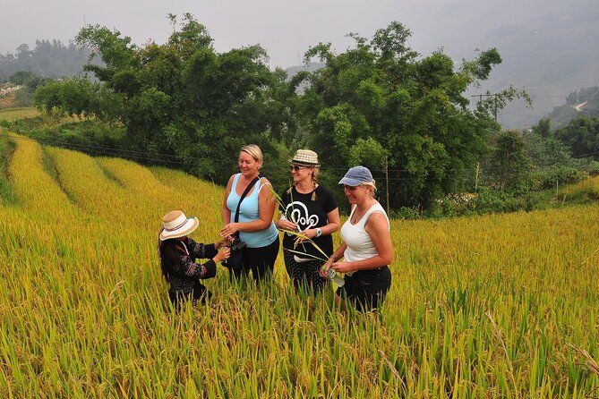 From Hanoi : Sapa Moutain Trek - Halong Bay Heritage - Overview of Tour Experience