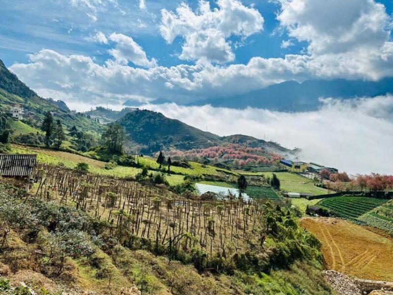 From Hanoi: Sapa Tour 2 Days With Fansipan Peak Visit - Included in the Tour