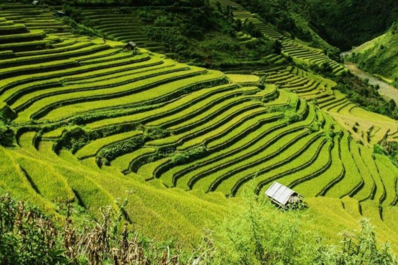 From Hanoi: Sapa Tour 2 Days With Fansipan Peak Visit - Exclusions