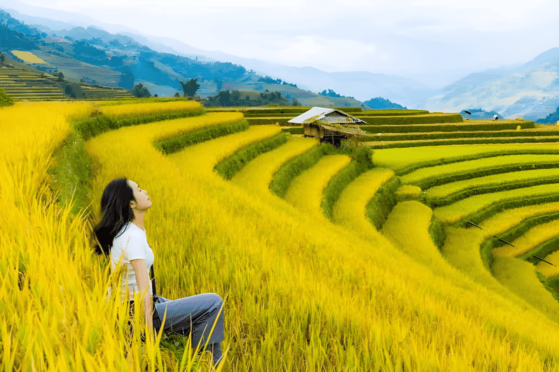 From Hanoi: Sapa Trekking Tour, Visit Terraced Fields 2 Days - Highlights