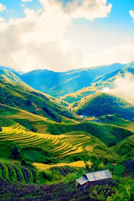 From Hanoi: See Terrace Fields In Sapa 2 Days 1 Night - Local Cuisine and Dining