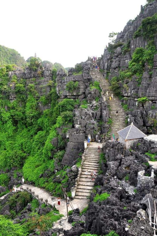 From Hanoi: Tam Coc Boat Trip and Hoa Lu & Mua Cave Tour - Important Information