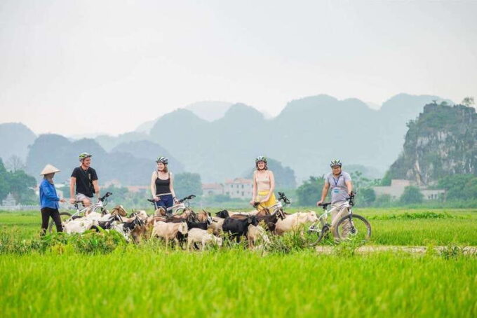 From Hanoi: Tam Coc or Trang An, Hoa Lu & Mua Cave Tour - Discovering Trang An and Mua Cave