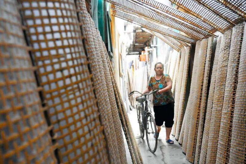 From Hanoi: Tho Ha Village Half-Day Photo Tour - Key Points