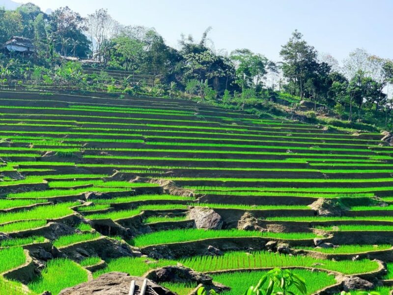 From Hanoi to Pu Luong: 2-Day Trip in Ethnic Villages - Group Size and Language