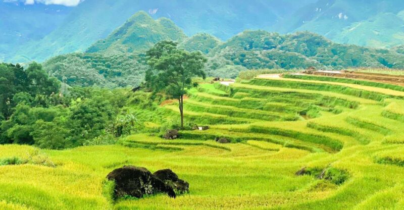 From Hanoi to Pu Luong: 2-Day Trip in Ethnic Villages - Day 1: Hanoi to Pu Luong
