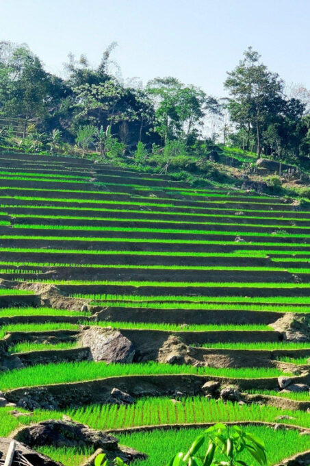 From Hanoi to Pu Luong 3 Days Unforgettable Experiences - Additional Details