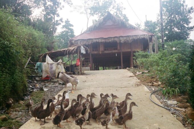 From Hanoi to Pu Luong 3 Days Unforgettable Experiences - Transportation and Accommodation