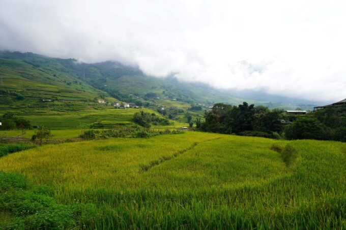 From Hanoi: Tour 2-Days Sapa Ethnic Homestay With Trekking - Suitability and Restrictions