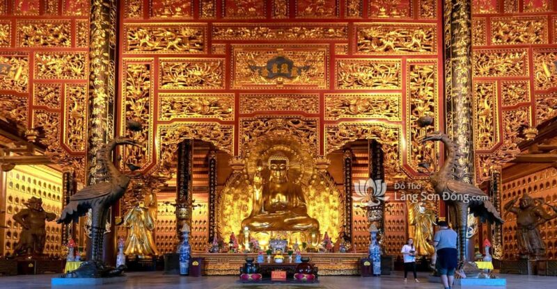 From Hanoi - Trang An - Bai Dinh- Mua Cave Trip by Limousine - Itinerary Highlights