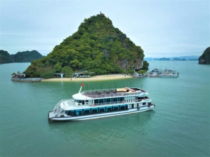 From Hanoi: Transfer to or From Halong Daily Limousine Bus - Booking and Reservations