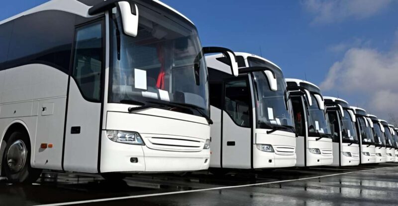 From Hanoi: Transportation to Hoi an by Limousine Bus - Luxury 20-Cabin Bus