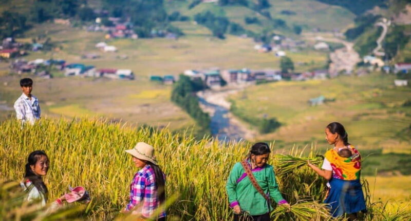 From Hanoi: Trek and Stay: 3-Day Sapa Highlands Adventure - Booking and Reservations