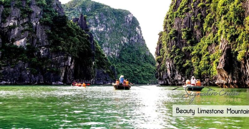 From Hanoi: Visit Cat Ba Islands By A Good Cruise In 1 Day - Experience Highlights