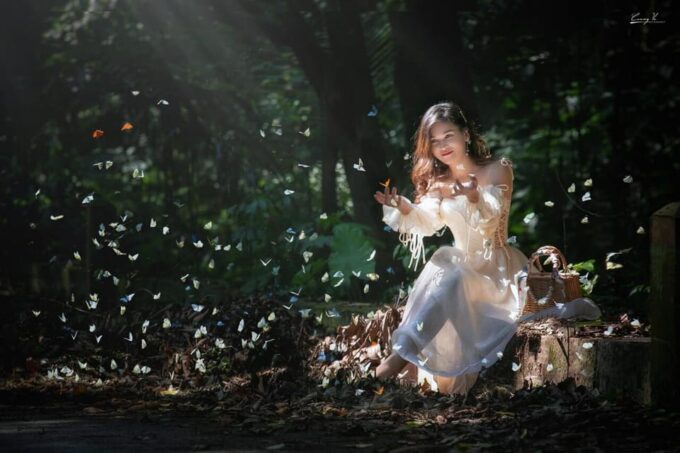 From Hanoi: Visit Cuc Phuong National Park & Admire Firefly - Fireflies in the Forest
