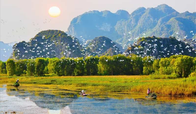 From Hanoi: Visit Ninh Binh & Admire Birds In 2 Days - Lunch and Boat Ride