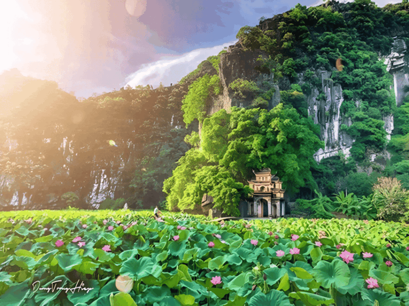 From Hanoi: Visit Ninh Binh & Admire Birds In 2 Days - Climb to Mua Cave