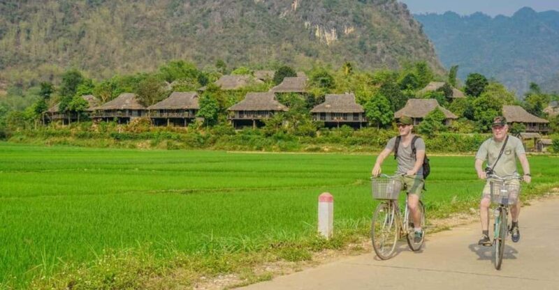 From Hanoi: Visit Ninh Binh - Amire The Rice Fields In 2 Day - Itinerary Highlights
