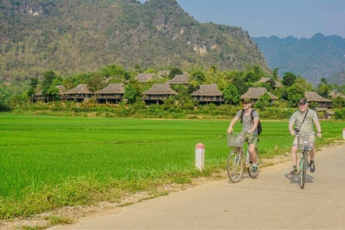 From Hanoi: Visit Ninh Binh - Amire The Rice Fields In 2 Day - Inclusions