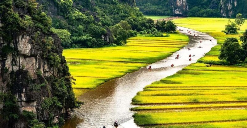 From Hanoi: Visit Ninh Binh & Cuc Phuong National Park 2 Day - Day 1 Activities