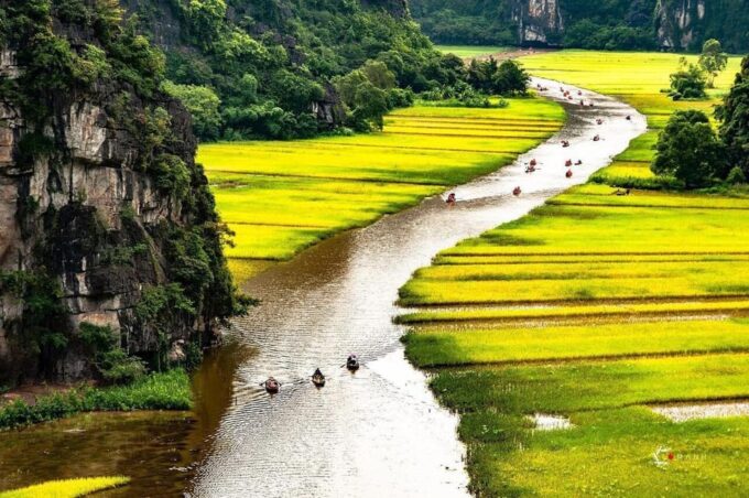 From Hanoi: Visit Ninh Binh & Cuc Phuong National Park 2 Day - Day 2 Activities