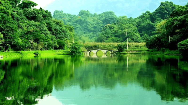 From Hanoi Visit Ninh Binh, See Animals In Cuc Phuong 2 Days - Accommodation and Meals