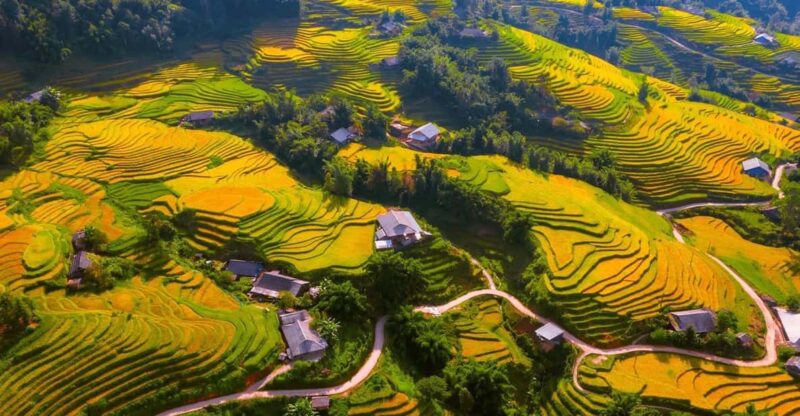 From Hanoi: Visit Sapa 3 Days & See The Terraced Fields - Experience Highlights