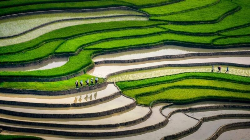From Hanoi: Visit Sapa & Amire The Terraced Fields For 2 Day - Inclusions and Additional Information