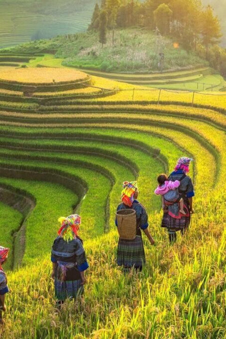 From Hanoi: Visit Sapa & Local Village In 2 Days 1 Night - Frequently Asked Questions