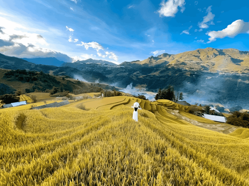 From Hanoi: Visit Sapa, Local Village, Terraced Fields 3 Day - Experience Highlights