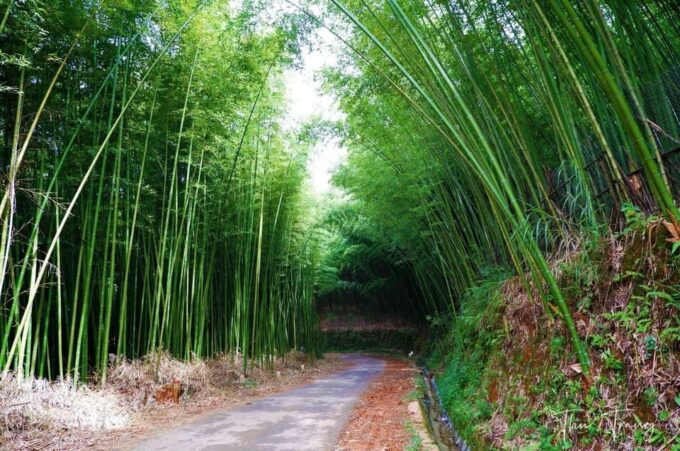 From Hanoi: Visit Sapa, Local Village, Terraced Fields 3 Day - Private Group Option