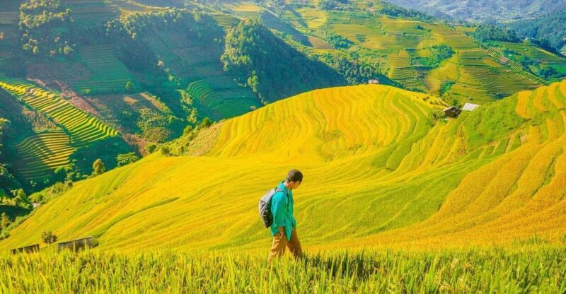 From Hanoi: Visit Sapa, Trekking To Local Village In 2 Days - Experience Highlights