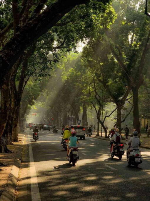 From Hanoi: Water Puppet Show & City Sightseeing Tour - Transportation and Customization Options