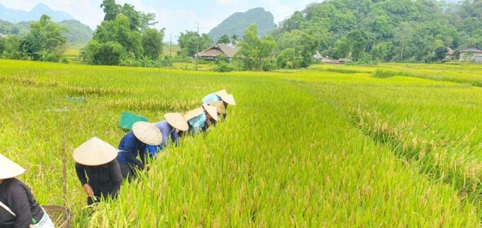 From Hanoi:3-Day Amazing Ha Giang Self-Riding Motorbike Loop - Additional Costs to Consider