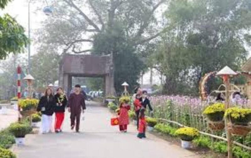 From Hanoi:Private Duong Lam Ancient Village Best Guide - Insights Into Farming Practices