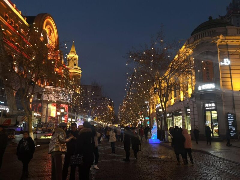 From Harbin: Amazing Day Trip Including Tickets - Booking Requirements