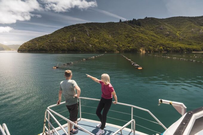 From Havelock: Marlborough Sounds Mail Boat Full-Day Cruise - Recap