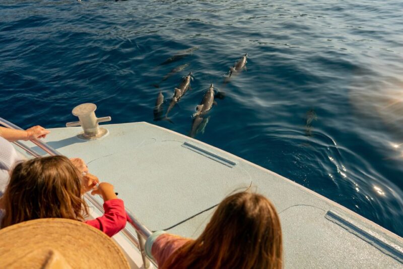 From Hawaii: Eco-Friendly Snorkeling Experience With BBQ - On-Board Activities