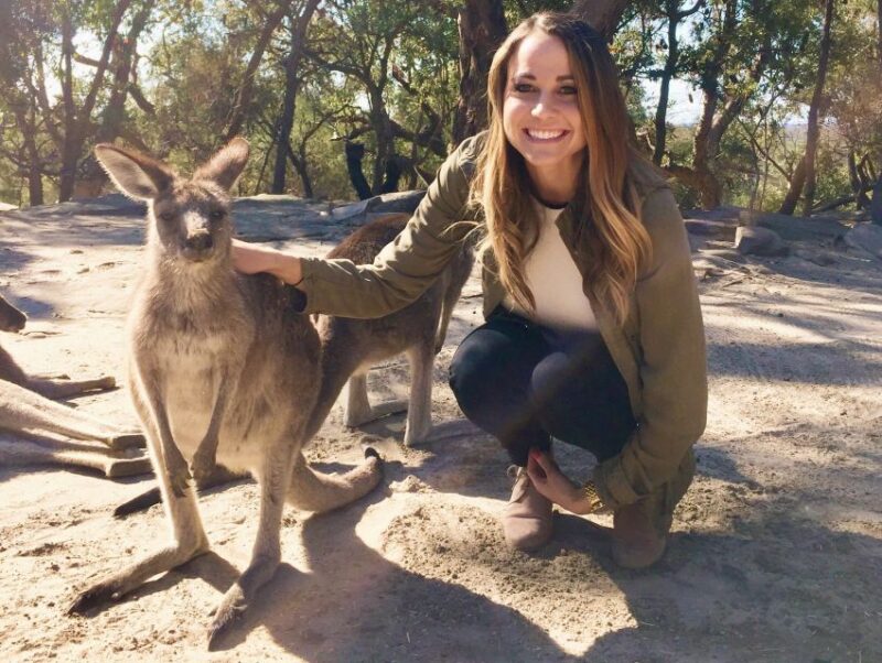 From Haymarket: Hunter Valley Wine and Wildlife Day Trip - Key Points