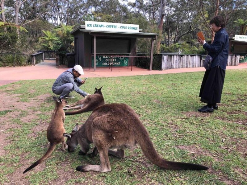 From Haymarket: Hunter Valley Wine and Wildlife Day Trip - Transportation and Amenities