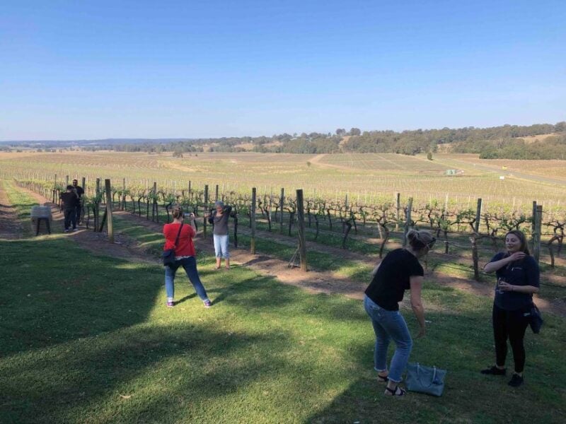 From Haymarket: Hunter Valley Wine and Wildlife Day Trip - Pricing and Optional Extras