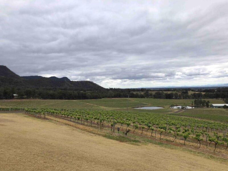 From Haymarket: Hunter Valley Wine and Wildlife Day Trip - Important Information