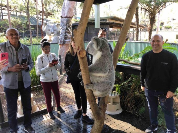 From Haymarket: Hunter Valley Wine and Wildlife Day Trip - Customer Reviews